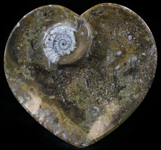Heart Shaped Fossil Goniatite Dish #26193
